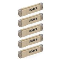 Zekering EDM E62101 metropol 20 A 5 x 36 mm (5 Stuks) - thumbnail