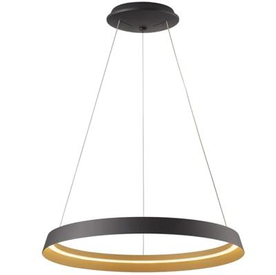 Steinhauer Strakke hanglampRinglux zwart Ø 60cm - 3692ZW