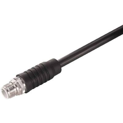 Weidmüller 1380540000 Sensor/actuator connector, geassembleerd M12 Aantal polen (sensoren): 4 Stekker 1 stuk(s) Weidmüller 1380540000 Sensor/actuator connector, geassembleerd M12 Aantal polen (sensoren): 4 Stekker 1 stuk(s)