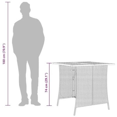 5-delige Tuinset met kussens poly rattan grijs