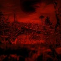 Bitteroogst - CD (3481575337239) - thumbnail