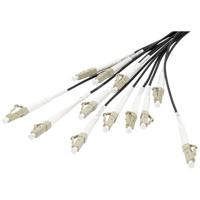 Digitus DK-2433CU050BK-BBB Glasvezel Optische vezel Aansluitkabel 50 m Zwart [12x LC-/UPC-stekker - 12x LC-/UPC-stekker] 50/125 µ Multimode OM4 - thumbnail