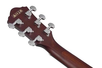 Ibanez AEG50-BAM Black Aurora Burst Matte elektrisch-akoestische westerngitaar - thumbnail