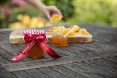 Labeltape brother ptouch tzerw54 24mm wijnrood