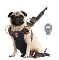 ZOLUX Travel Safe S red - harnas voor honden - thumbnail