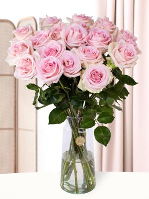 20 zachtroze rozen - XL rozen - Sweet Revival