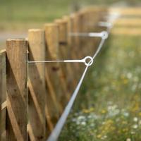 Gallagher Afstandisolator ring top 40 cm hout (5) - 751221 - thumbnail