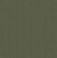 Dutch Wallcoverings Sauvage/British H. Streep - Groen - thumbnail