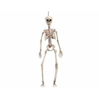 Halloween Decoraties My Other Me 49 cm Skelet - thumbnail