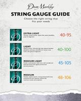 Dean Markley 2604A NickelSteel Signature Medium Light 4 string 45-105 snarenset voor elektrische basgitaar - thumbnail