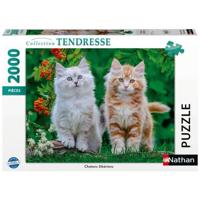 Nathan - Puzzel van 2000 stukjes - Siberische kittens - Vanaf 14 jaar - Puzzel van topkwaliteit - Tenderness Collection - 12001868 - thumbnail