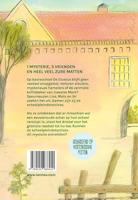 De schoolpleindetectives en de sleutel van niets - thumbnail