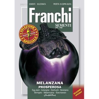 Aubergine Melanzana Prosperosa 90/15 zaden Franchi - Franchi