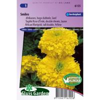 Tagetes Erecta zaden Smiles afrikaan - thumbnail