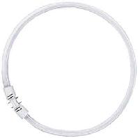 Osram Lumilux T5 Circulair FC 40W - 865  | 30cm