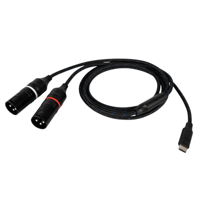 DAP FL115 verloopkabel USB-C naar 2x XLR male 0,75m