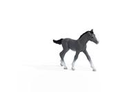 13944 Schleich trakehner veulen - thumbnail