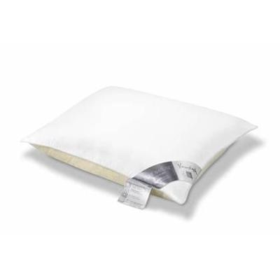 Vandyck Pure Nature Tweekamer Kussen 60x70