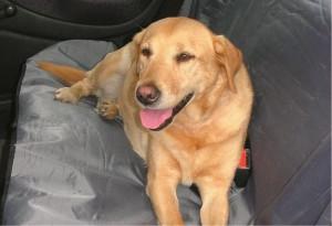 Beeztees Auto Hondendeken - 110x130 cm Beeztees Auto Hondendeken - 110x130 cm