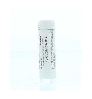 Homeoden Heel Nux vomica D12 6 Gram