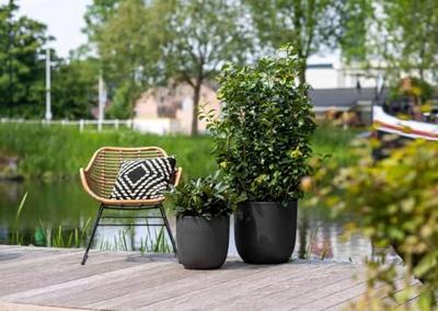 Capi Pot Bol 54x52 cm - Zwart - thumbnail