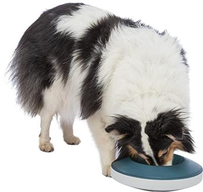 TRIXIE SLOWFEEDING ROCKING BOWL KUNSTSTOF / TPR GRIJS / BLAUW 23X23 CM 500 ML TRIXIE SLOWFEEDING ROCKING BOWL KUNSTSTOF / TPR GRIJS / BLAUW 23X23 CM 500 ML