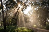 Tamron 35mm F/2.8 DI III OSD 1/2 Macro Sony FE - thumbnail