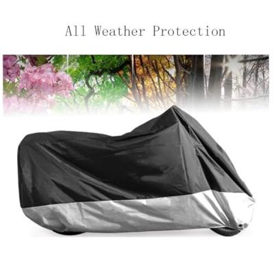 Haza Lampion Leeuw Ø20cm