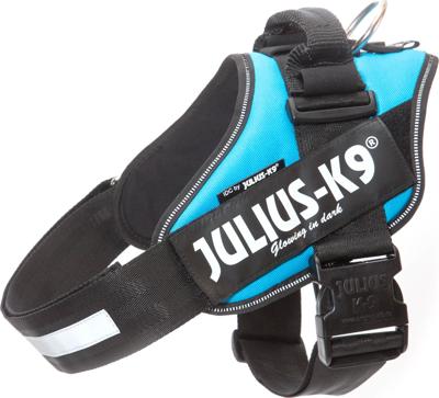 Vliegenfrontriem Paard maat: Full Cob