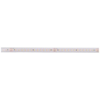 Deko Light Long Run 840406 LED-strip Energielabel: F (A - G) Met open kabeleinde 48 V 50 m Neutraalwit 1 stuk(s)