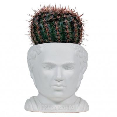 UPG Planter - Frida Kahlo
UPG Planter - Frida Kahlo