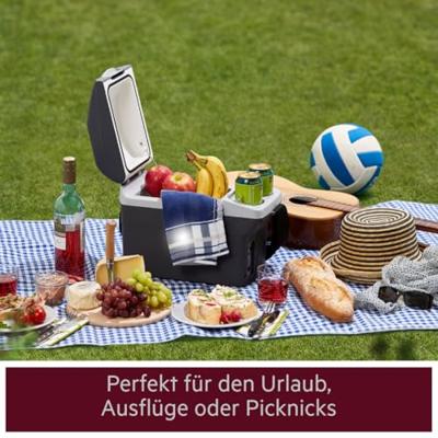 AEG Bordbar BK6 Koelbox en verwarmingsbox Thermo-elektrisch 12 V/DC Grijs 6 l Max. 20 °C onder omgevingstemperatuur