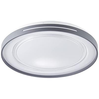 Brilliant G97158/72 Barty LED-plafondlamp LED LED vast ingebouwd 30 W Donkergrijs, Wit