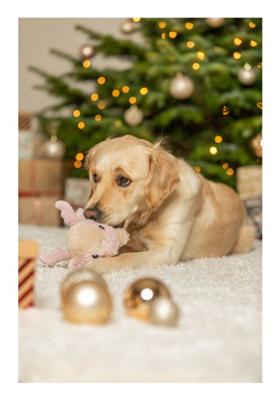 TRIXIE XMAS RENDIER MET GELUID PLUCHE