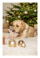 TRIXIE XMAS RENDIER MET GELUID PLUCHE - thumbnail