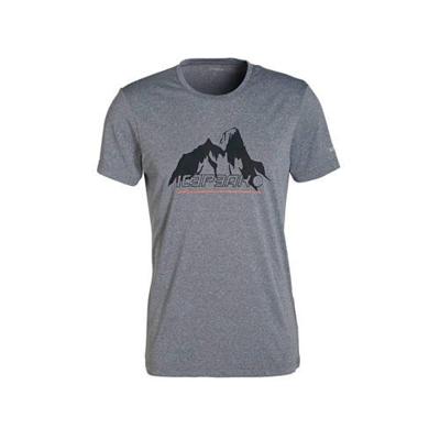 Icepeak T-shirt grijs Icepeak T-shirt grijs