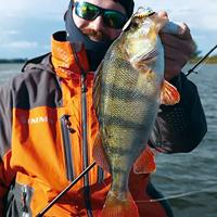 Molix Trago Spin 21Gr Blue Back Tiger - thumbnail