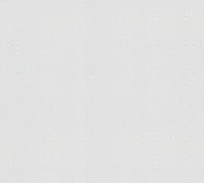 AS Creation Meistervlies 7 - Overschilderbaar - 384541