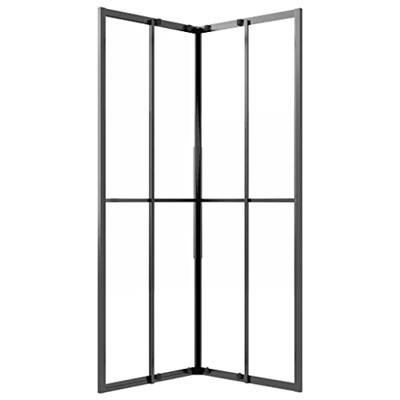 VidaXL Douchecabine 70x70x180 cm mat esg zwart