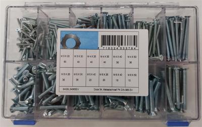 assortiment metaalschroef D965 elvz