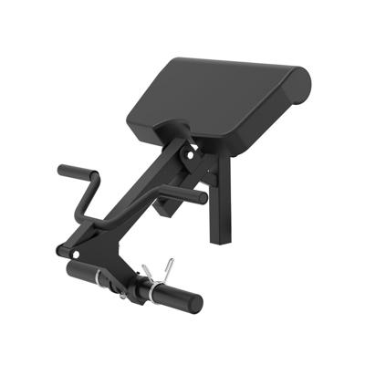 Biceps Curl opzetstuk voor trainingsbank