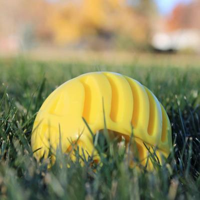 Ballenwerper voor honden Hunter