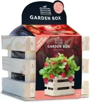 Baza Gardenbox kweekset Aardbei zoet 12x11x10cm - thumbnail