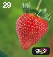 Epson 29 - Multipack inkt - thumbnail