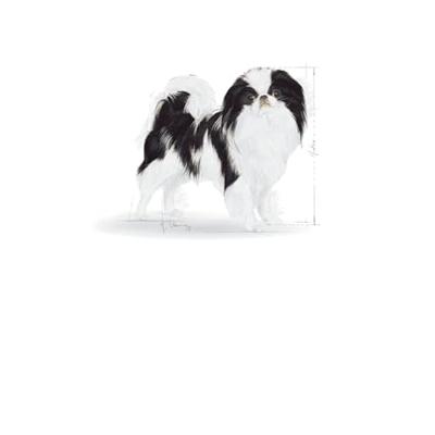 Royal Canin Sterilised xs hondenvoer 1.5kg