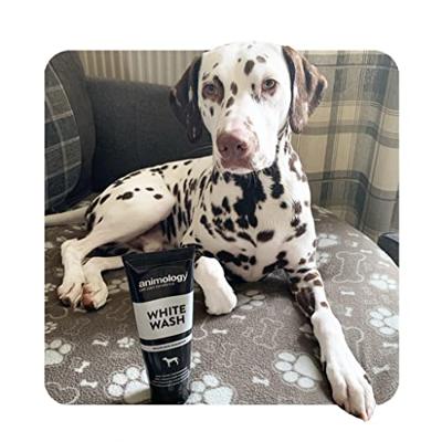 Animology White Wash Dog Shampoo 250 ml