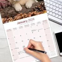 Golden Retriever Kalender Puppies 2026 - thumbnail