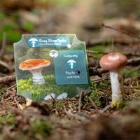 Undergrove - thumbnail