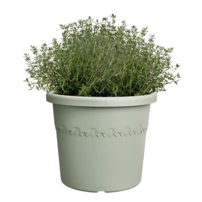 Elho algarve cilindro 25 thyme green - thumbnail