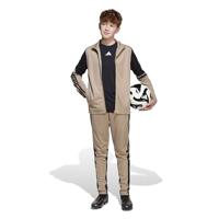 adidas Squadra 25 Trainingsbroek Kids Beige Zwart - thumbnail